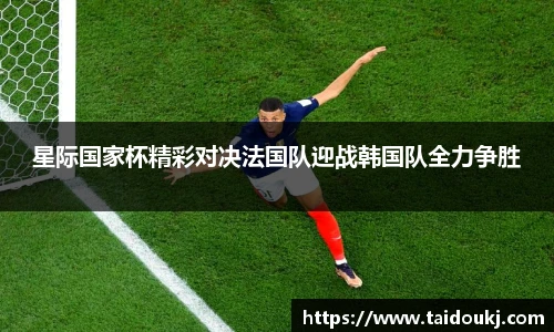 星际国家杯精彩对决法国队迎战韩国队全力争胜